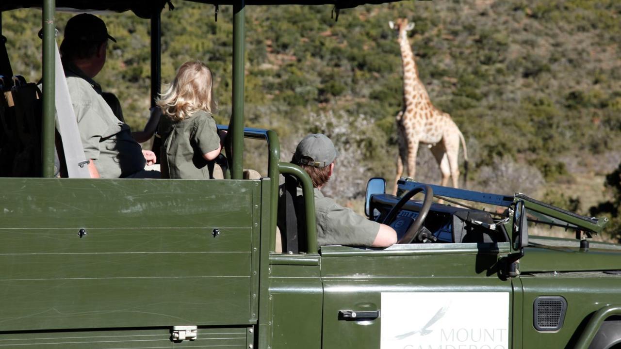Mount Camdeboo Private Game Reserve By Newmark Ґраафф-Рейнет Екстер'єр фото